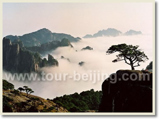 Shanghai Huangshan 6 Day Train Tour 